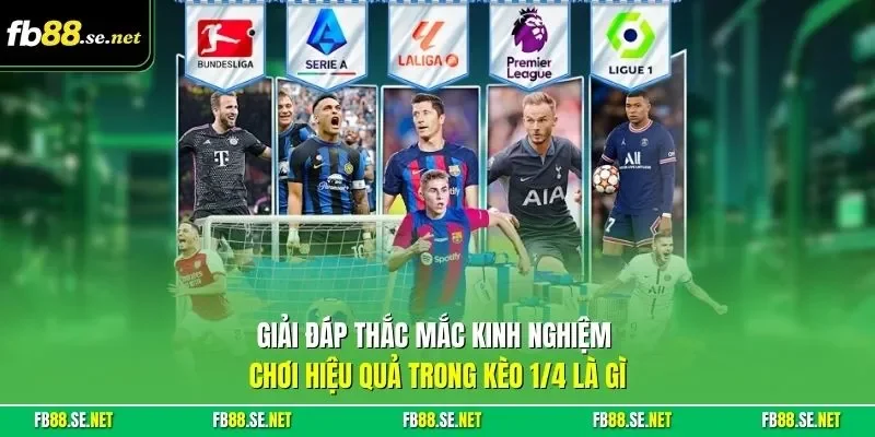 Giải đáp thắc mắc kinh nghiệm chơi hiệu quả trong kèo 1/4 là gì