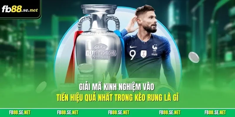 Giải mã kinh nghiệm vào tiền hiệu quả nhất trong kèo rung là gì