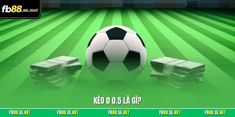 Kèo 0 0.5 là gì