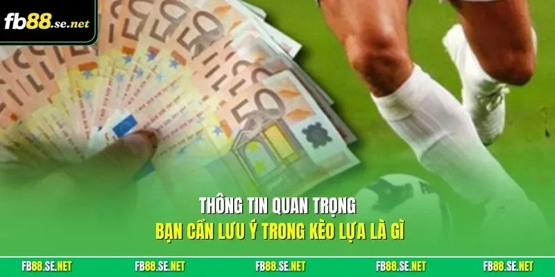 Thông tin quan trọng bạn cần lưu ý trong kèo lựa là gì